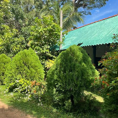 Shen Residence Sigiriya Exterior foto
