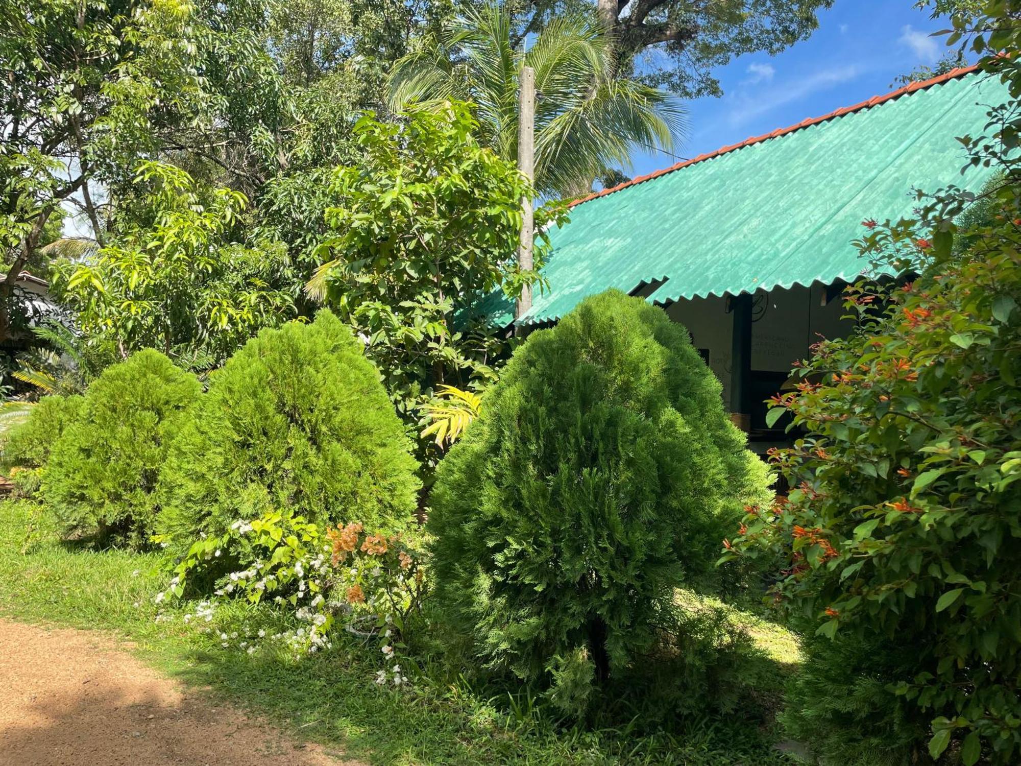 Shen Residence Sigiriya Exterior foto