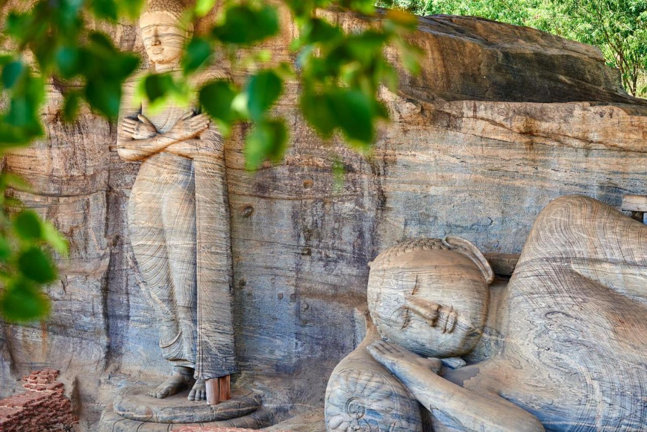 Shen Residence Sigiriya Exterior foto